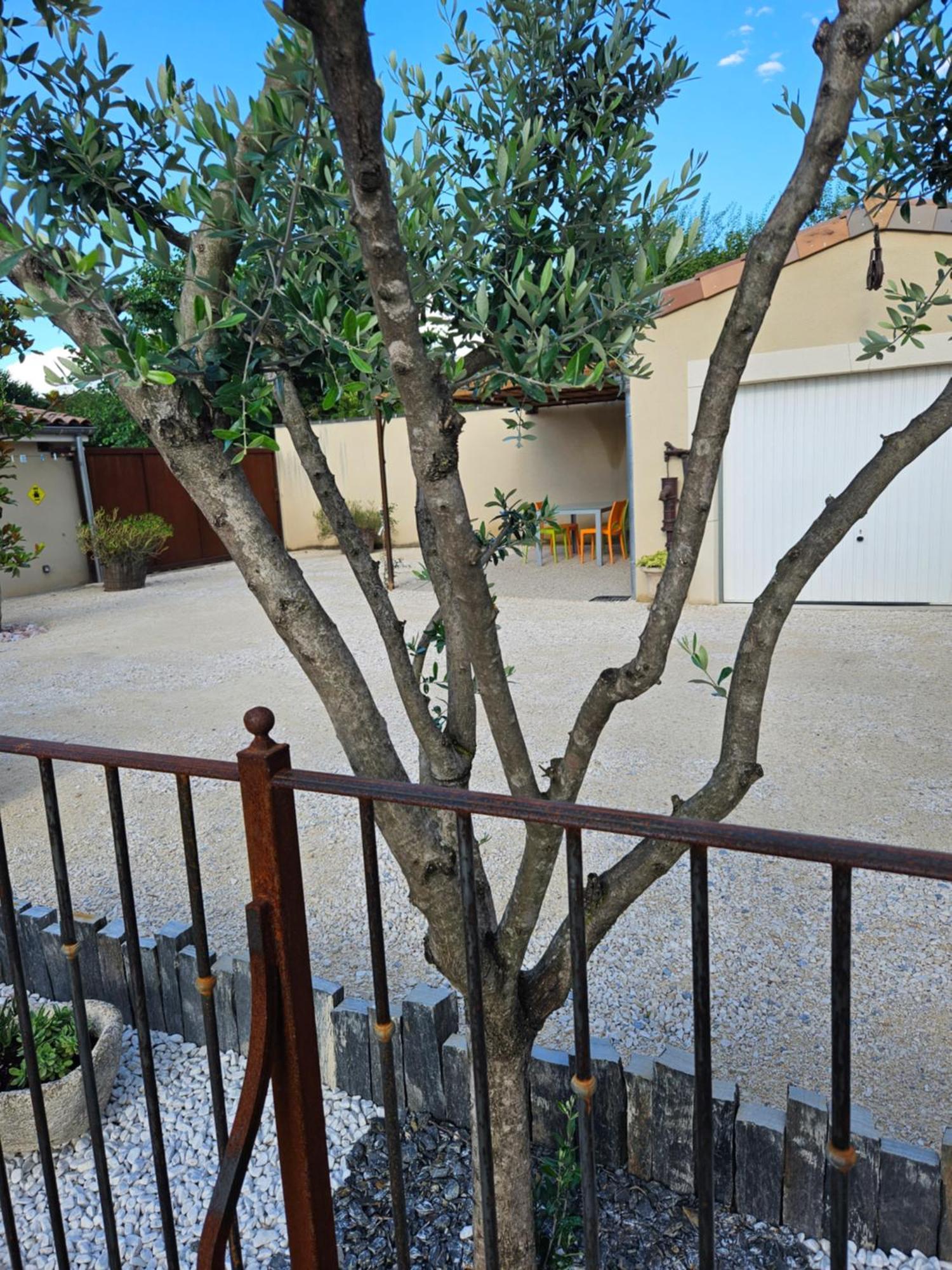 Ferienwohnung Le Rubiz La Coucourde Exterior foto